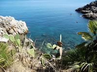 Excursions in Castellammare del Golfo